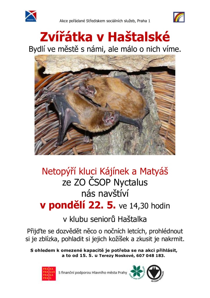 thumbnail of 22-05-2023 Netopýrci