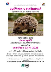 thumbnail of 23-04-2025 zvířátka -ježek