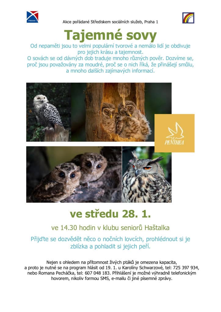 thumbnail of 28-01-2026 sovy