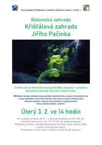 thumbnail of 03-02-2026 Křišťálová zahrada